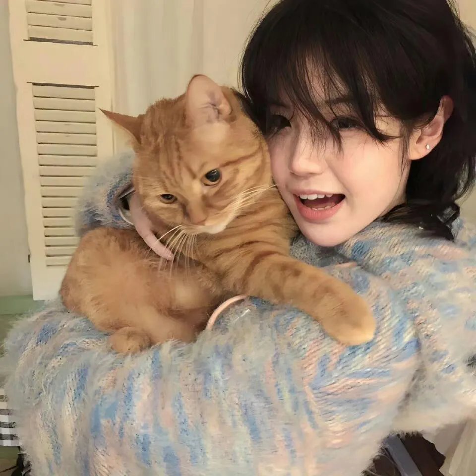 机器肉鸡第三季